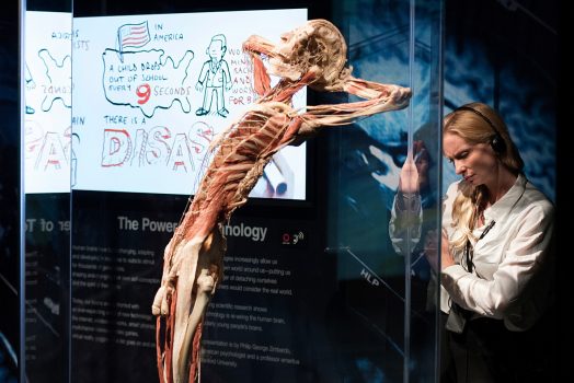 Body Worlds (05) © Jerry Knies